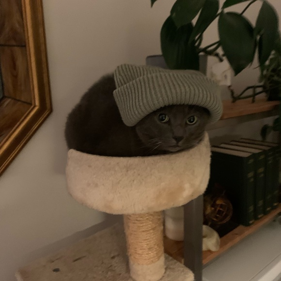 Meet your Posher, Rachel - Picture 3 of 3